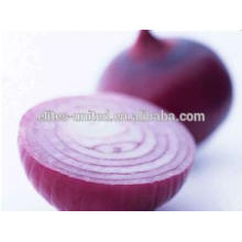 Fresh Onions With Competitive Market Price From Shandong China